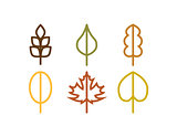 Thin line vector autumn tree leaf icons