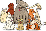 cartoon purebred dogs group