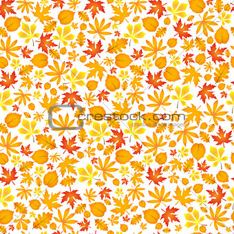 Autumn falling maple and oak leaves, seamless pattern on white background.