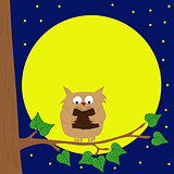 Owl sitting on a branch reading book by moonlight.