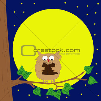 Owl sitting on a branch reading book by moonlight.