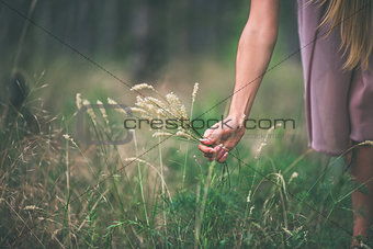 Girl's hand with dry grass