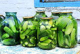 Cucumbers prepared for preservation