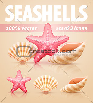 Set of summer sea shells and starfish icons