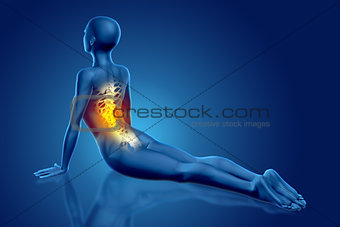 3D female medical figure in yoga pose with backbone highlighted