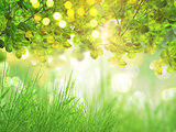 3D grass and tree background