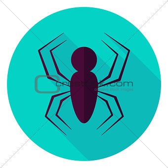 Spider Circle Icon