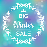 Big Winter Sale Banner