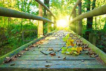 Wood bridge in autumn forest.