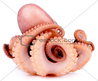 Big Smoked Octopus