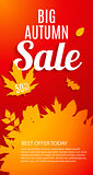 Shiny Autumn Leaves Sale Banner. Business Discount Card. Vector 