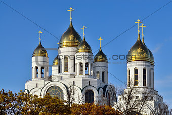 Domes of the church  Christ the Savior. Kaliningrad, Russia