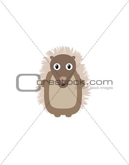 Funny hedgehog character