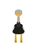 Funny ostrich character