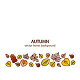 Vector nice modern fall leaves autumn decorative background banner