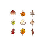 Vector autumn leaves red, orange yellow colors line art. Seasonal illustration