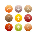 Vector autumn leaves icons set