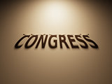 3D Rendering of a Shadow Text that reads Congress