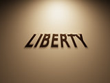 3D Rendering of a Shadow Text that reads Liberty
