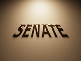 3D Rendering of a Shadow Text that reads Senate