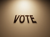 3D Rendering of a Shadow Text that reads Vote