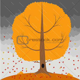 Autumn tree in the rain and falling leaves on the background a stormy sky