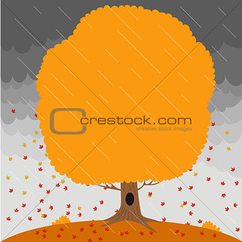 Autumn tree in the rain and falling leaves on the background a stormy sky