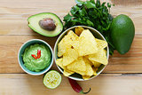 dip of avocado guacamole and corn chips, Mexican food