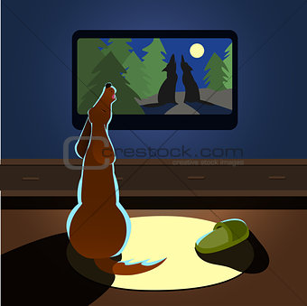 Brown dog howling watches TV back view Vector illustration