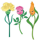 Fancy cartoon vector flowers isolated: carnation, rose and tulip.
