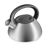 iron kettle with a whistle