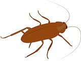 Cockroach vector icon. cartoon insect isolated on white