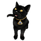 Black Cat Illustration