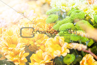 Amazing floral background with sun rays
