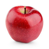 Single fresh red apple with stem isolated on white