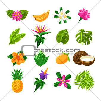 Tropical Exotic Fruits And Flora Set Of Icons