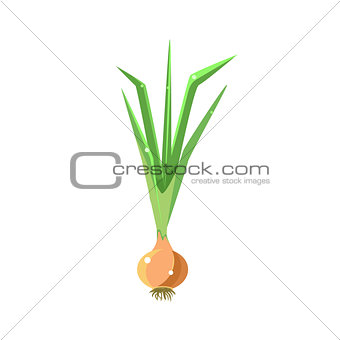 Fresh Onion Primitive Realistic Illustration