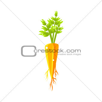 Fresh Carrot Primitive Realistic Illustration