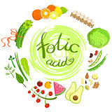 Products Rich In Folic Acid Infographic Illustration