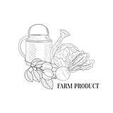 Farm Vegetables Hand Drawn Realistic Sketch
