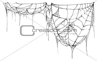 Spider web isolated on white background