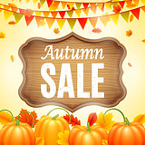 Autumn Sale Anouncement