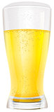 Lager light non alcoholic beer in glass