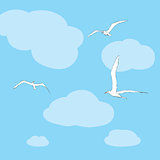 Sea gulls soar in the sky