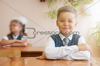 Happy schoolboy sitting at desk