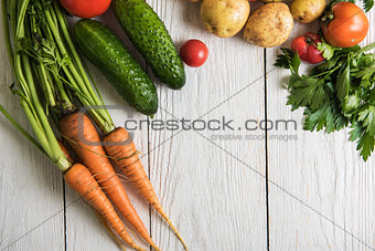 freshly grown raw vegetables