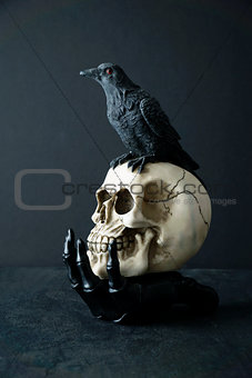    Skull with black bird in skeleton hand                       
