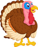 cute turkey cartoon posing