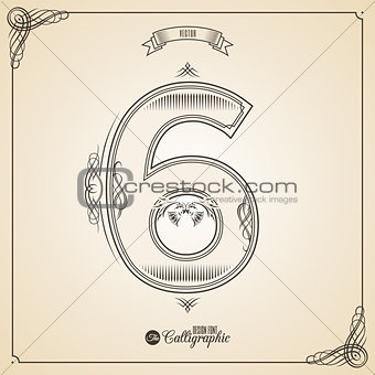Calligraphic Fotn with Border, Frame Elements and Invitation Design Symbols. Collection of Vector glyph. Certificate Decor. Hand written retro feather Symbol. Number 6
