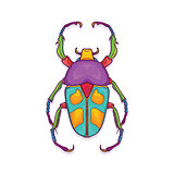 Colorful Beetle Bug Insect, Jumnos ruckeri